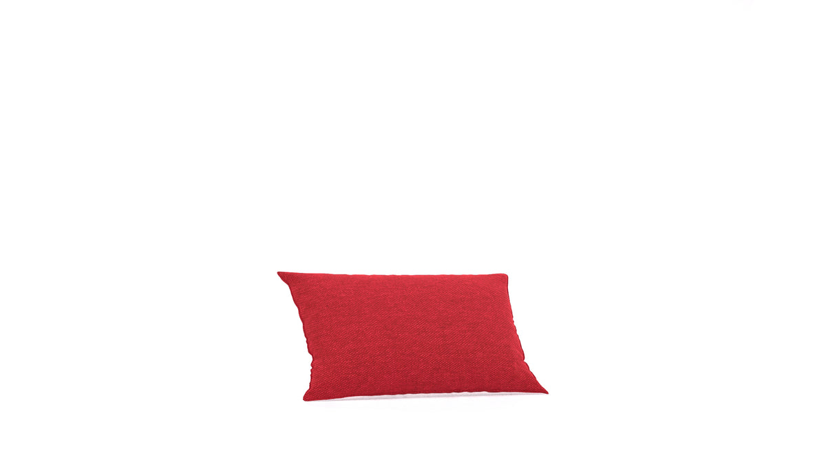 Fodere per  BARD C2 in ET-11: Red